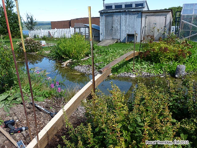 Cheap Bridge - Free Pond Bridge DIY Plans - Bridge over a Water Garden