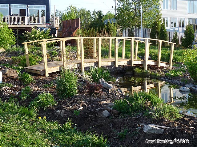 How to build a Pond Bridge - Backyard Bridge - Garden Bridge - Japanese Garden Bridge - Wooden arch Bridge