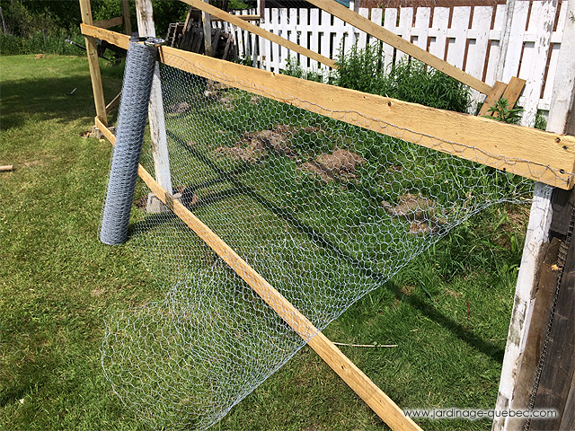Chicken coop and run - Install chicken wire fencing