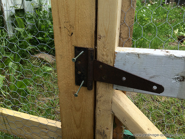 Aviary door - How to build an aviary