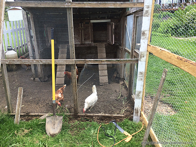Adding a run to chicken coop