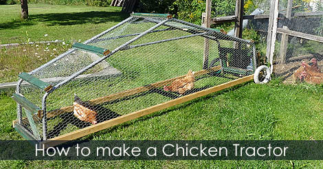 DIY Chicken Tractor - Making Mobile chicken coop 
