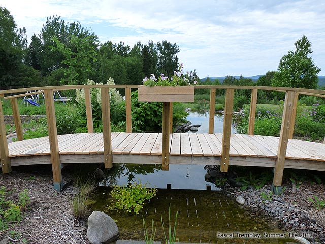 Garden Stream Idea - The garden bridge over the Creek - Stream under the japanese bridge