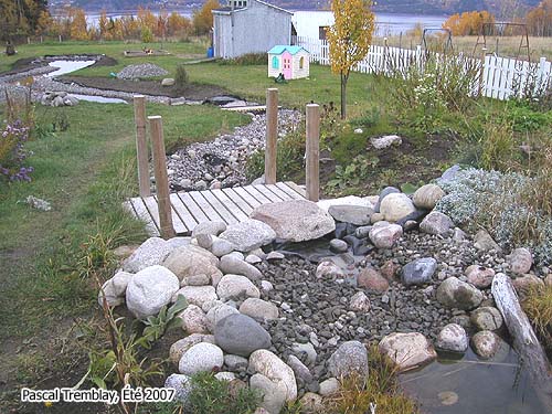 Creek and Water garden Discharge - Pond network - Streambed