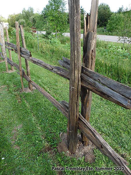 Split Rail Fence Design Idea - DIY cedar rail fence - Rustic rail fence