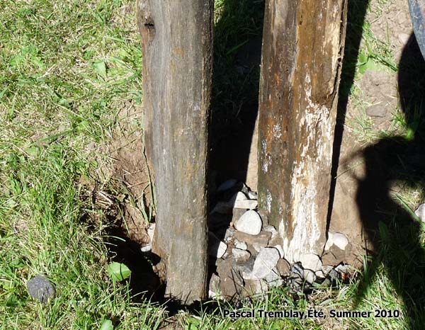 How to piles fencing - Make cedar fence from cedar logs - Build split-rail fence