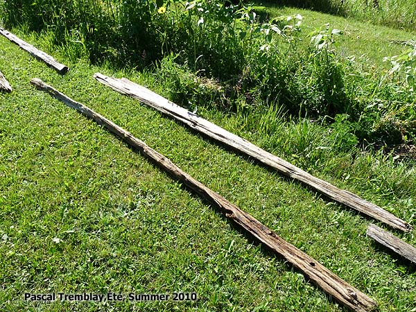 Cedar split-rail fence - Cedar Rails - Cedar Posts - Cedar Stakes - rustic split rail