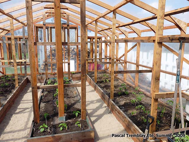 Greenhouse Frame Picture - How to build grow boxes for greenhouse interior - Grow boxes with Used planks material