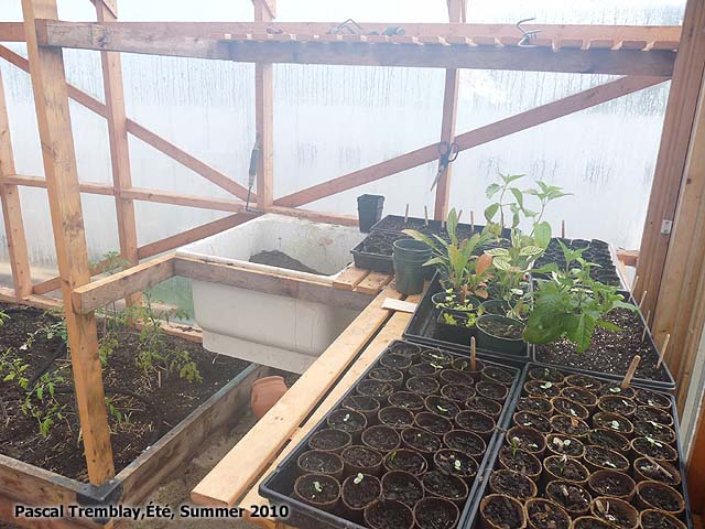 Soil Sink Potting Bench Diy Idea Gardening Forum The