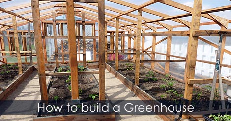 How to build a greenhouse - DIY Garden Greenhouse