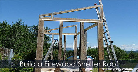 Shed roofing options - Keep your stack of firewood from getting damp by building this simple firewood shelter