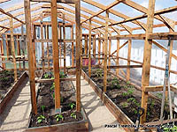 Greenhouse organizing ideas - Planning greenhouse layout - How to build a Greenhouse