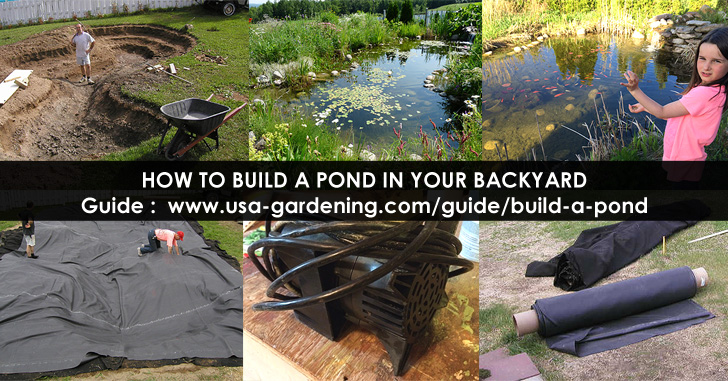 How to build a backyard pond