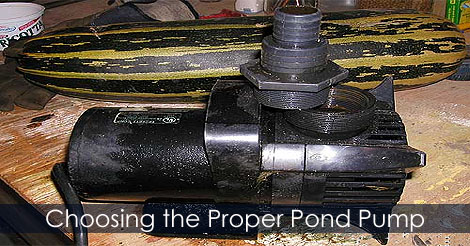 Pond Pump - Choosing a pond pump - How to choose proper pond pump - Water garden pumps - Selecting pond pump