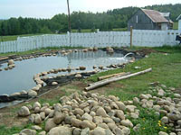 Pond Edging Instructions - How to edge a garden pond - Pond building steps - Pond pictures