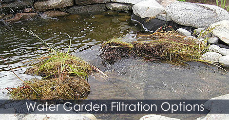 Pond filter - Choosing a pond filter - Pond filtration - Filter your pond naturally with plants stream and waterfall