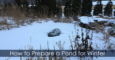 Preparing Pond for winter - How to prepare water garden for winter - Pond De-Icers - Preparing your Koi Pond for Winter Care Maintenance