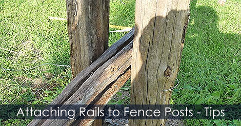 Attach rails to fence posts with galvanized wire - Set rails height and Install them with wire - Garden fencing