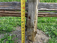 Set fence rail height - How to install fence rails - How to set fence rails for a split rail fence