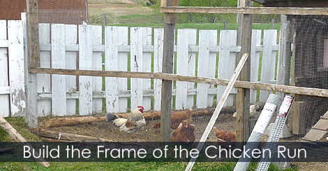 Chicken run frame