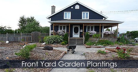 Front Yard Landscaping - The mow-less landscaping ideas - Lawn-less yard solution