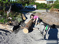 Moving logs - How to move logs - Moving heavy logs by hand - Edging beds with logs