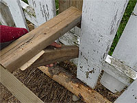 How to install chicken perch to the chicken coop - How to set up a chicken coop with run