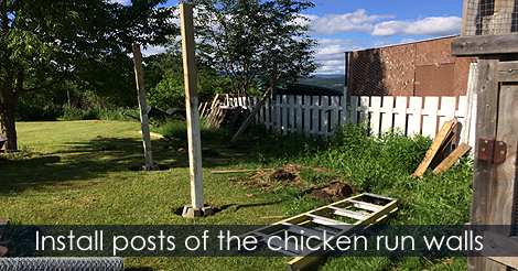 Chicken run posts