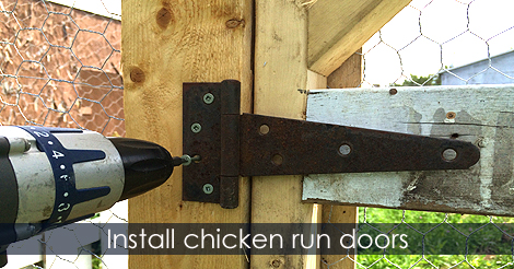 Install chicken run door to the chicken run structure