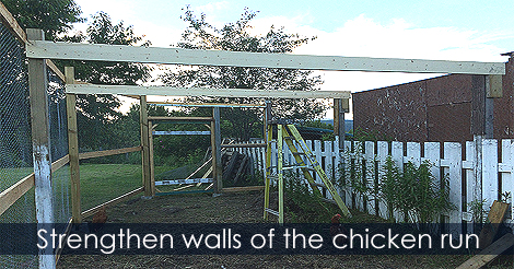 Strengthen the enclosed walls of the chicken run