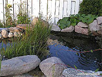 How to build an homemade pond filter with peat moss - Pond waterfall  - Waterfall channel