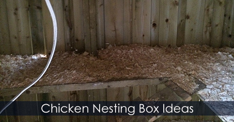 Chicken nesting box plans and ideas - How to build a hen house