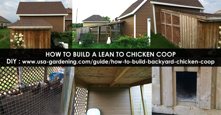 Lean-to chicken coop