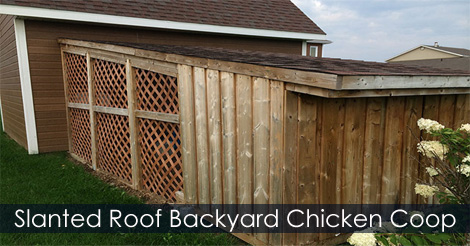 Chicken coop Plans - Hen house design idea - How to build a city chicken coop