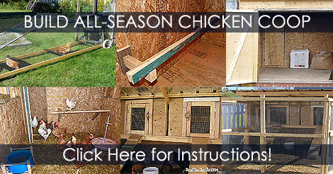 How to build a Chicken Coop