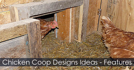Chicken Coop Design Ideas - Chicken coop Layout and chicken coop features