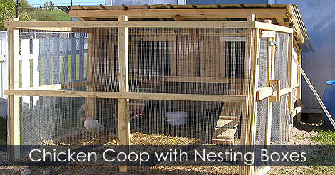 How to build a chicken coop with nesting boxes - Summer time chicken coop - Best way to build a chicken coop - Chicken coop from scratch - All Season chicken coop plan