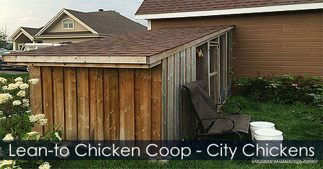 Building Lean-to Chicken Coop - Keep Chickens in city - Backyard chickens guide