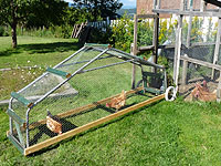 How to build a chicken tractor - How to build a mobile chicken coop - How to build a chicken ark