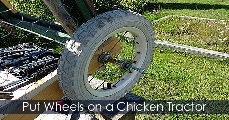 How to Build a Chicken Tractor - Install wheels on a chicken tractor or chicken ark
