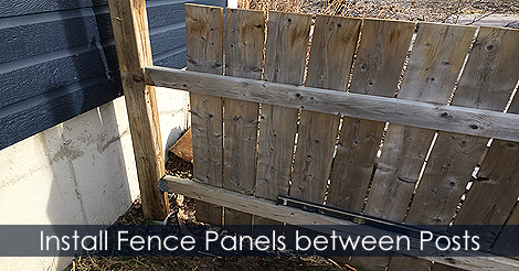 Install fence panels between fence posts
