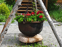 Cast iron cauldron as vintage planter