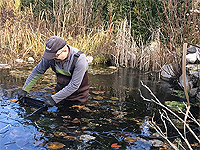 Make and install a pond de-icer