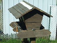 Bird feeder roofing