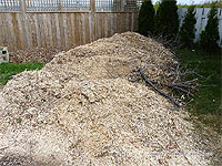 Best sourcing ramial wood chips - how to make mulch from wood chips
