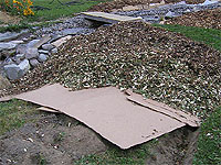 Sheet mulching - Organic gardening ways - The Easiest Way to Get Rid of Weeds Without Harsh, Synthetic Chemicals