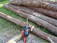 Edging garden beds using logs - Cutting logs with chainsaw