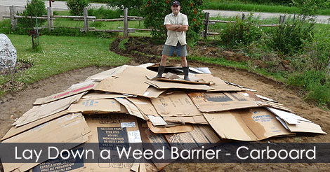 Lay down a weed barrier. Use large sheets of cardboard - How to sheet mulch