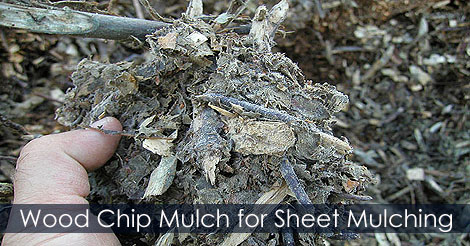 Wood chips - Sheet Mulching Materials Woodchips