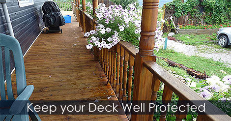 How to build and maintain a deck - How to Seal and Stain Pressure Treated Wood Decking